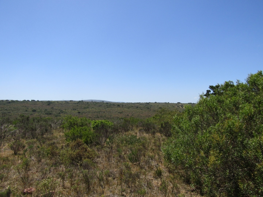 0 Bedroom Property for Sale in Humansdorp Rural Eastern Cape